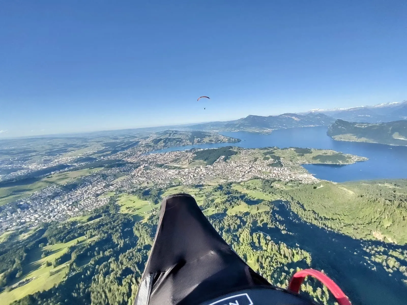 Pilatusfliegen