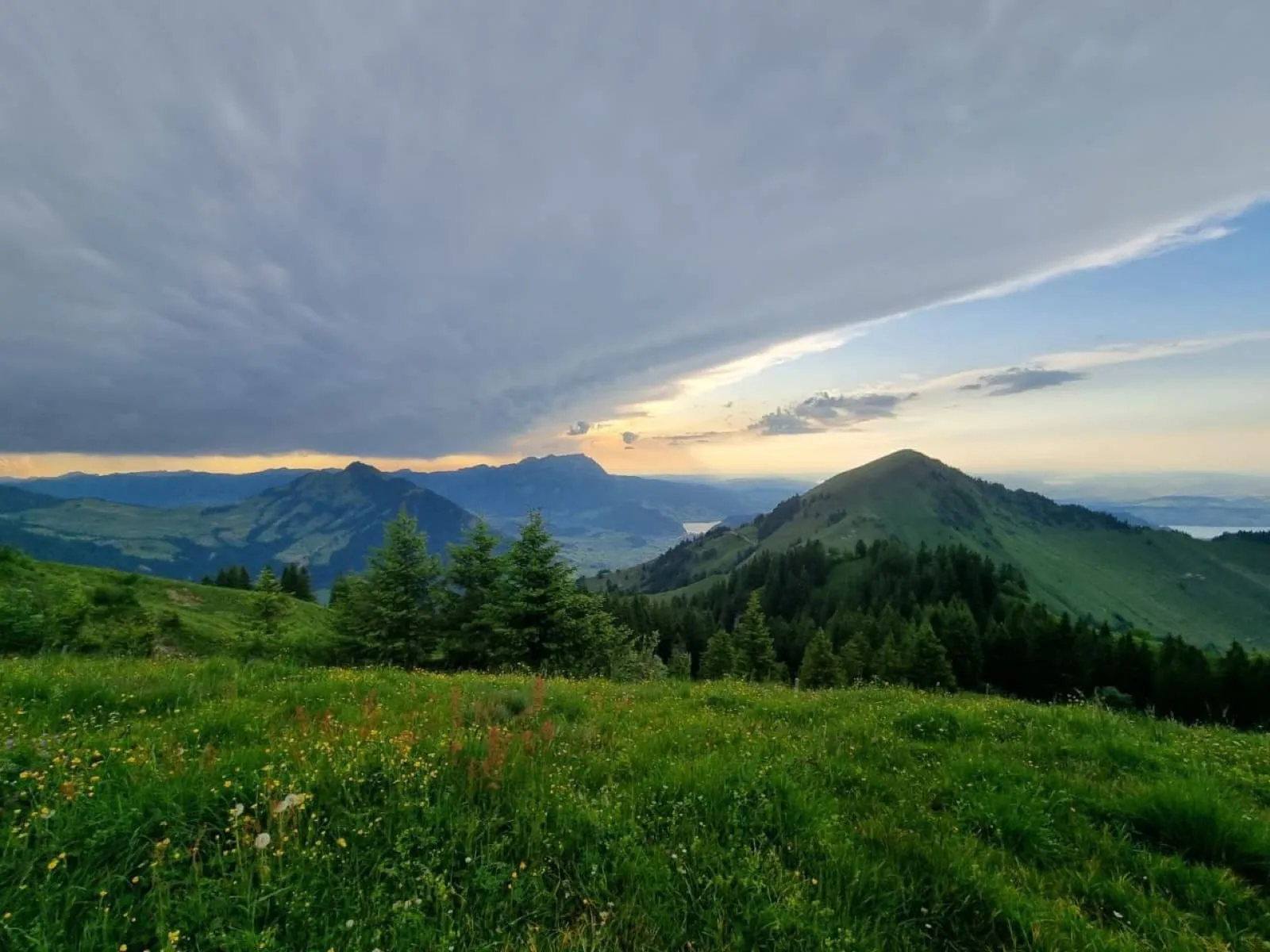 Mittsommernachtsfliegen