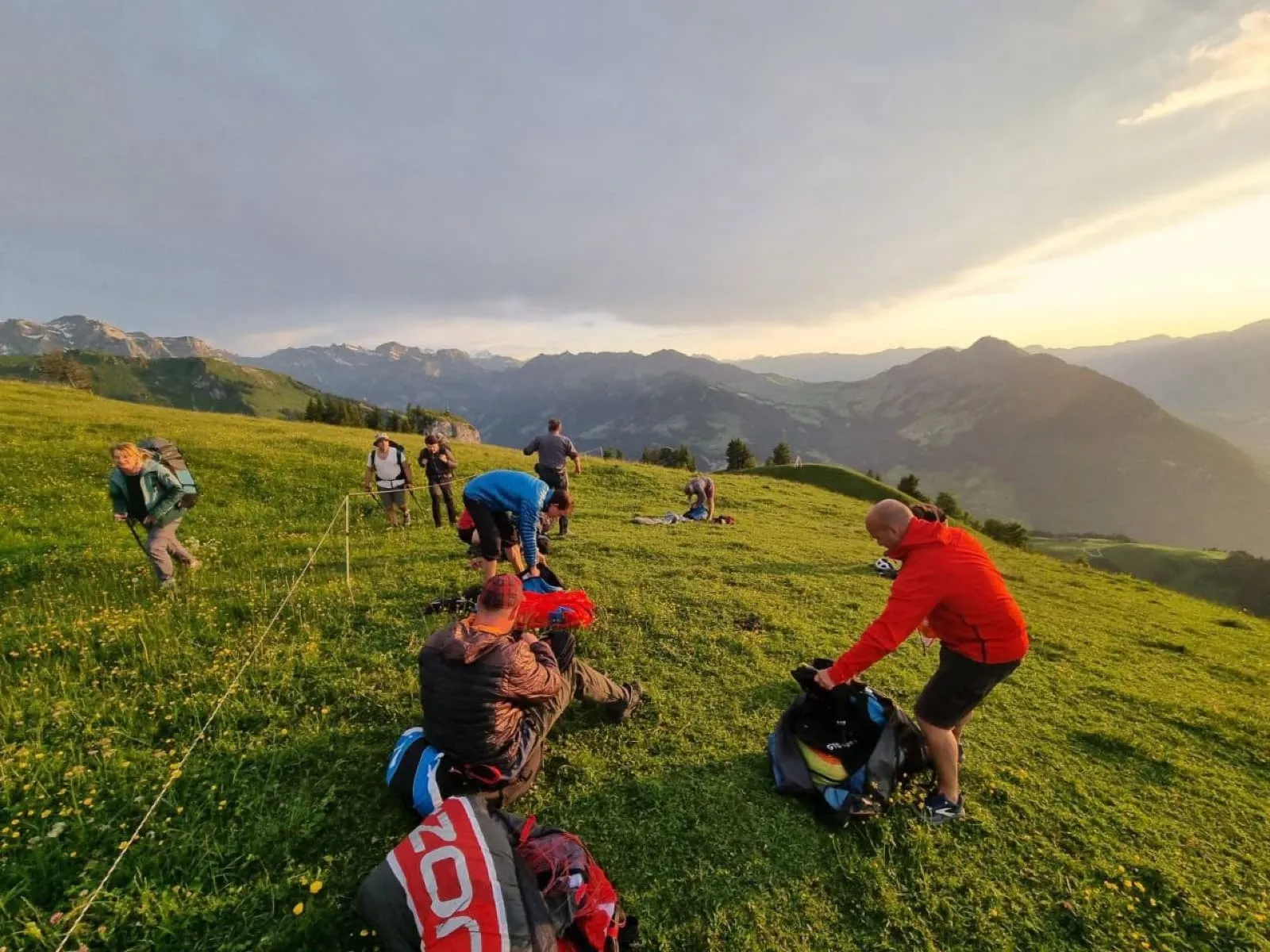 Mittsommernachtsfliegen