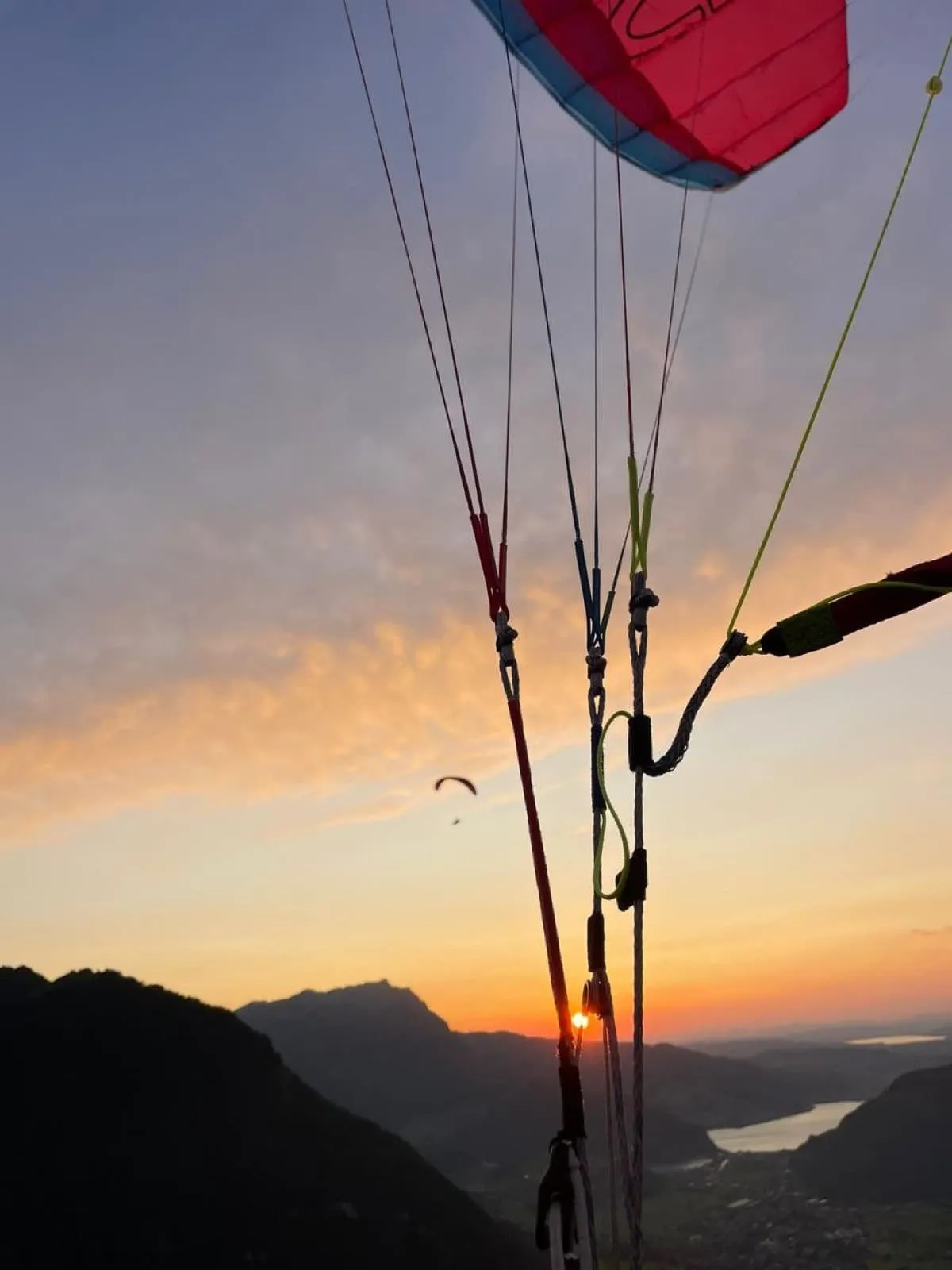 Mittsommernachtsfliegen