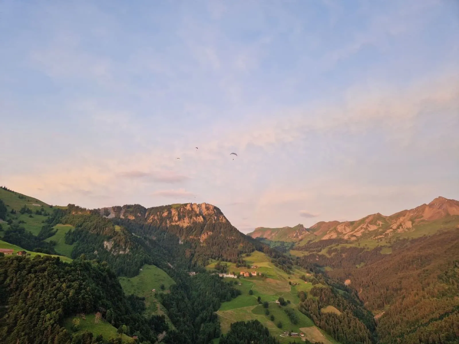 Mittsommernachtsfliegen