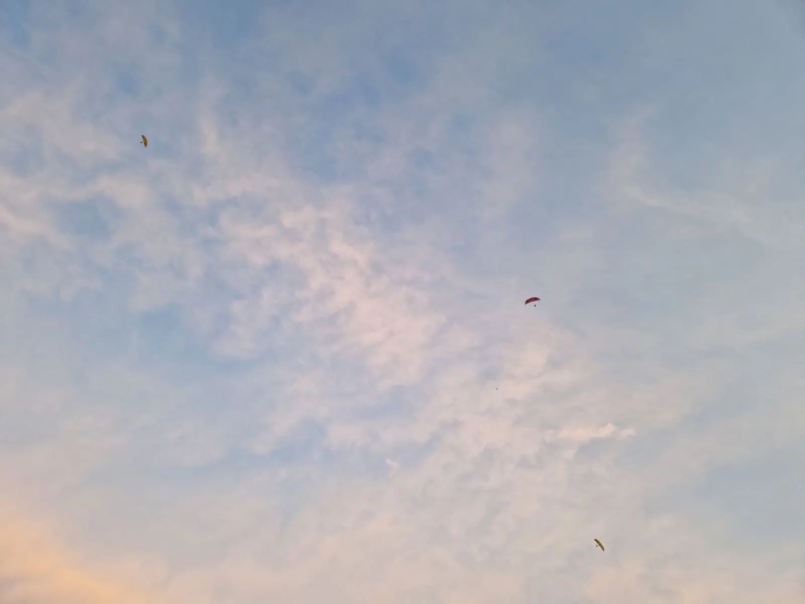 Mittsommernachtsfliegen
